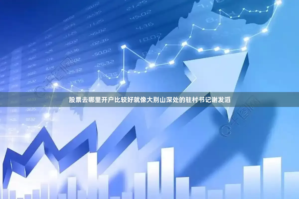 股票去哪里开户比较好就像大别山深处的驻村书记谢发滔
