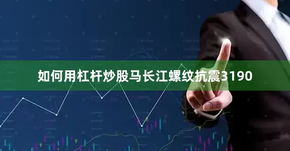 如何用杠杆炒股马长江螺纹抗震3190