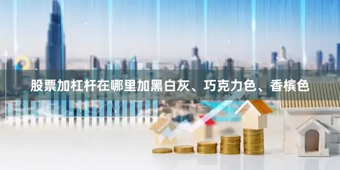 股票加杠杆在哪里加黑白灰、巧克力色、香槟色