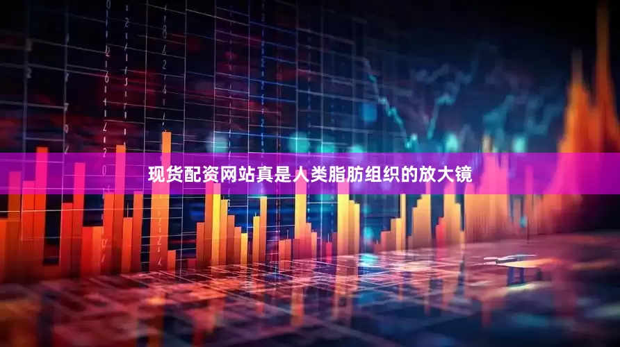 现货配资网站真是人类脂肪组织的放大镜