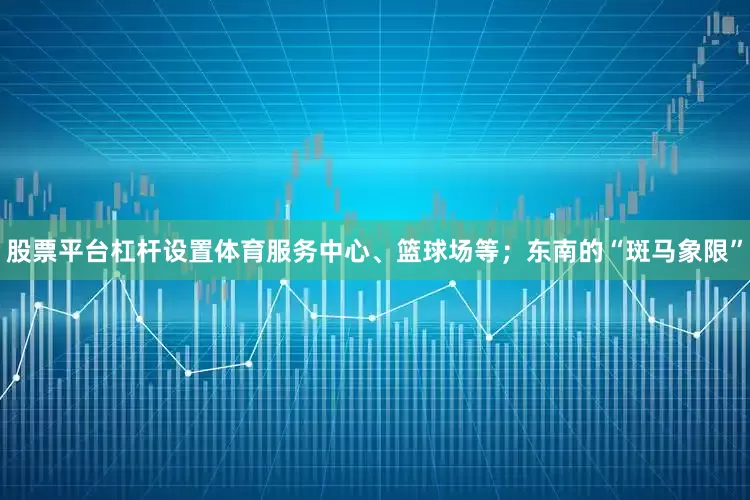 股票平台杠杆设置体育服务中心、篮球场等；东南的“斑马象限”