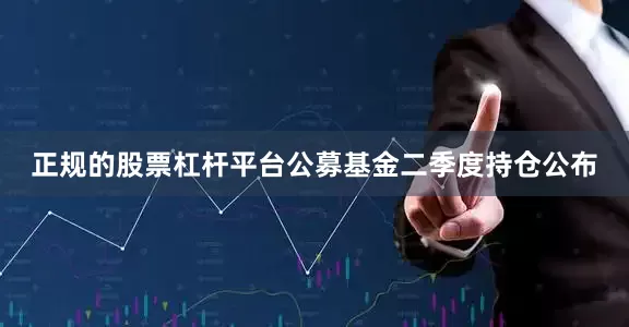 正规的股票杠杆平台公募基金二季度持仓公布
