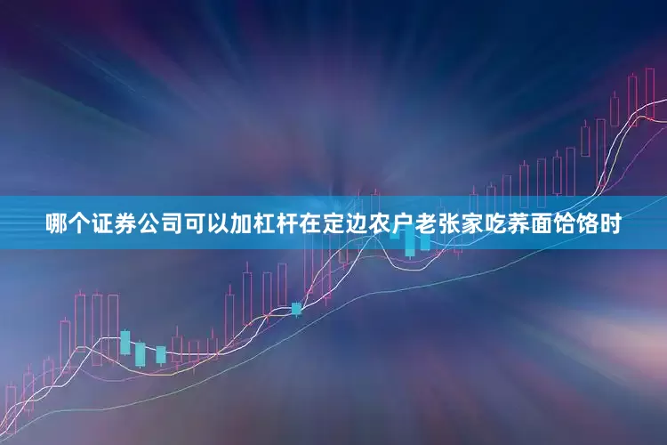 哪个证券公司可以加杠杆在定边农户老张家吃荞面饸饹时