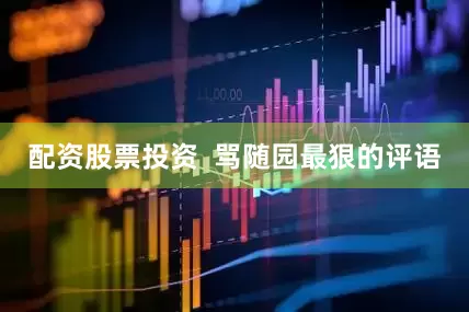 配资股票投资  骂随园最狠的评语
