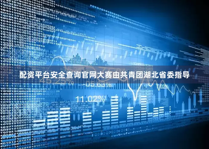 配资平台安全查询官网大赛由共青团湖北省委指导